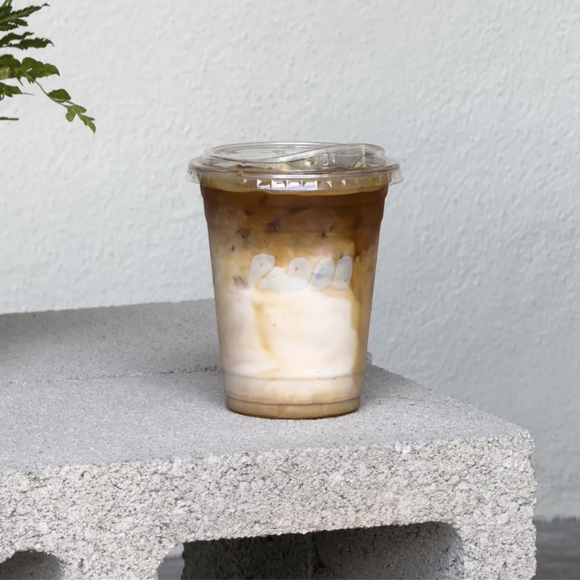 Latte / White / Cappuccino